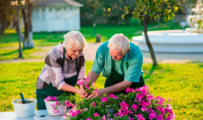 Tuinieren voor ouderen: een koppel tuiniert samen