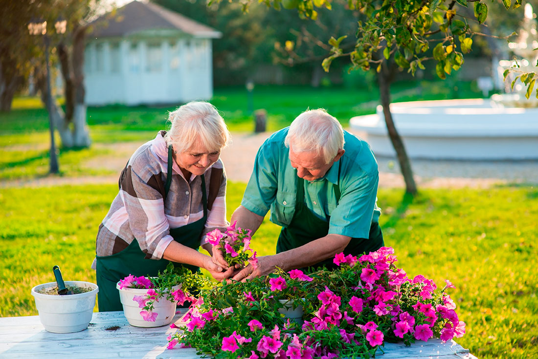 Tuinieren voor ouderen: een koppel tuiniert samen