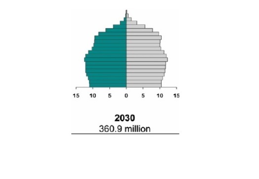 “piramide” van de bevolkingsverdeling tegen 2030